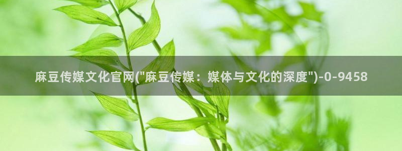 麻豆视频图集资源：麻豆传媒文化官网(\