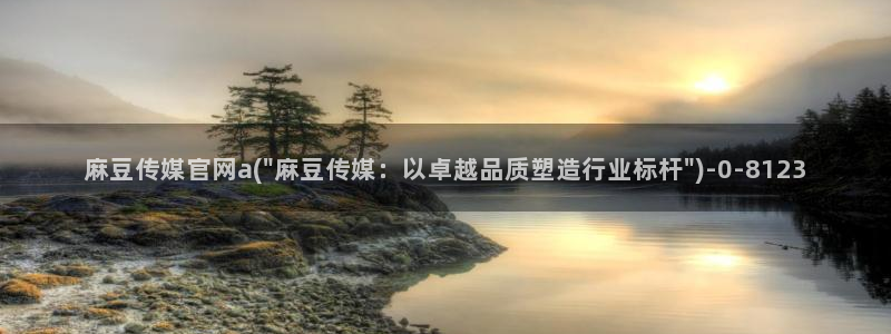 麻豆视频资源整理：麻豆传媒官网a(\