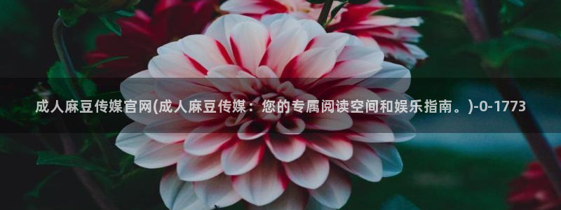 麻豆视频 下载高清：成人麻豆传媒官网(成人麻豆传媒：您的专属阅读空间和娱乐指南。)