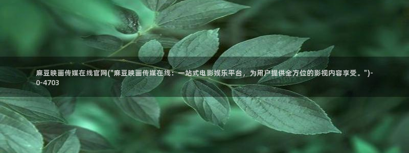 麻豆视频 系列导航