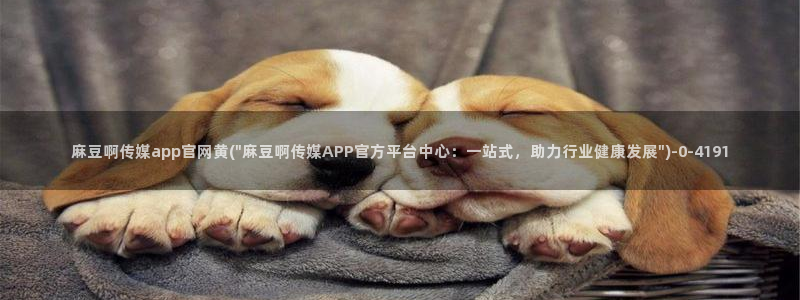 麻豆 精选入口：麻豆啊传媒app官网黄(\