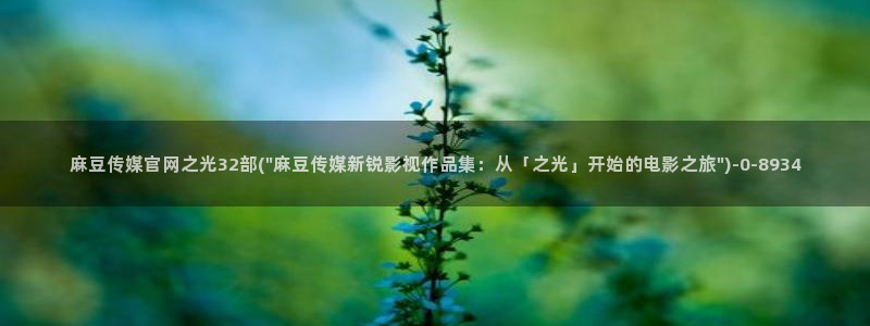 麻豆视频站在线看：麻豆传媒官网之光32部(\