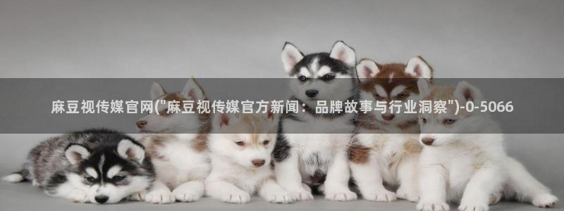 麻豆视频内容页面：麻豆视传媒官网(\