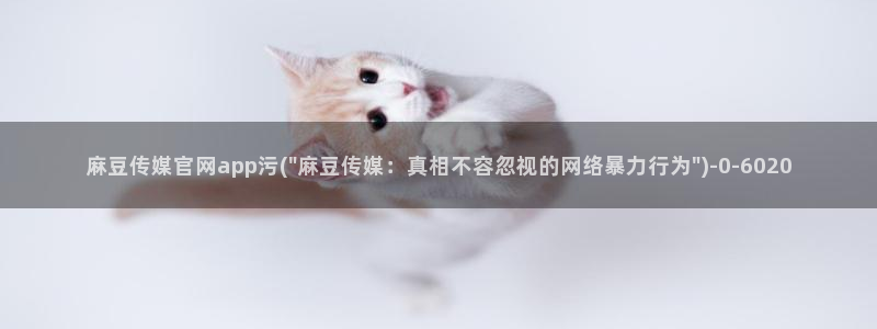 麻豆视频 高清高清：麻豆传媒官网app污(\