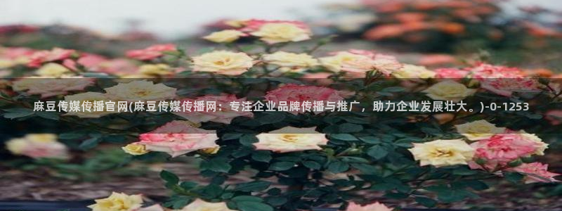 麻豆视频系列导航：麻豆传媒传播官网(麻豆传媒传播
