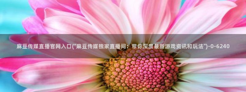 麻豆视频精选完整版：麻豆传媒直播官网入口(\