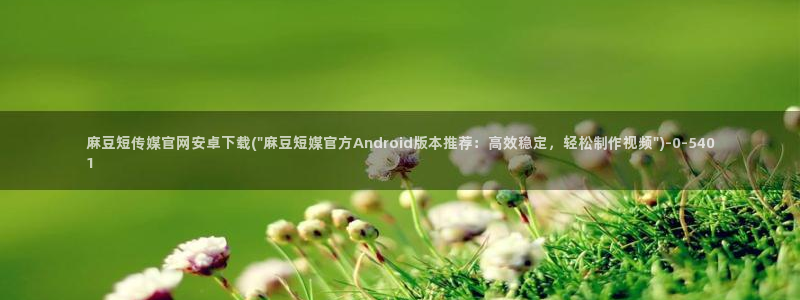 麻豆视频下载资源：麻豆短传媒官网安卓下载(\