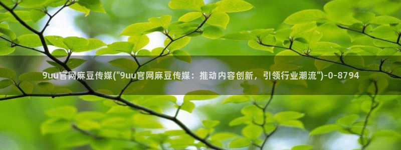 麻豆视频高清视频：9uu官网麻豆传媒(\