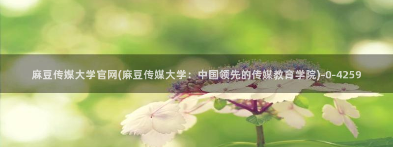 麻豆 资源最新：麻豆传媒大学官网(麻豆传媒大学：中国领先的传媒教育学院)