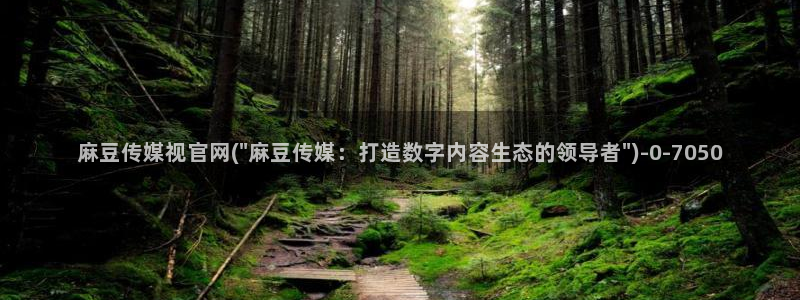 麻豆视频 热门资源：麻豆传媒视官网(\
