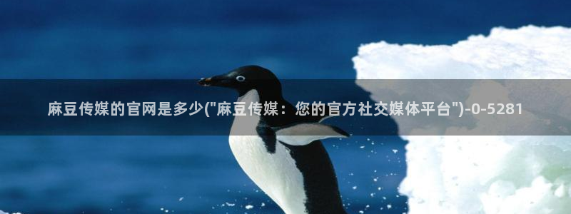 麻豆视频下载完整版：麻豆传媒的官网是多少(\
