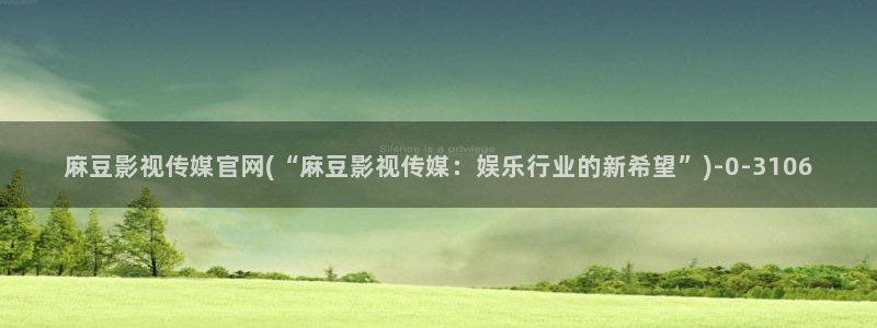 麻豆视频 高清资源