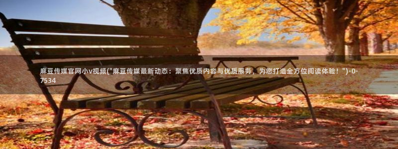 麻豆 精选在线看：麻豆传媒官网小v视频(\