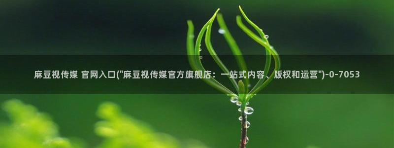 麻豆视频 下载下载