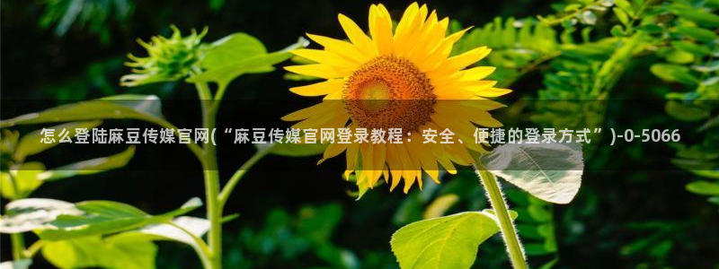 麻豆入口资源：怎么登陆麻豆传媒官网(“麻豆传媒官网登录教