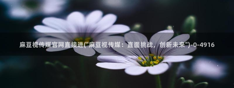 麻豆视频短片页面