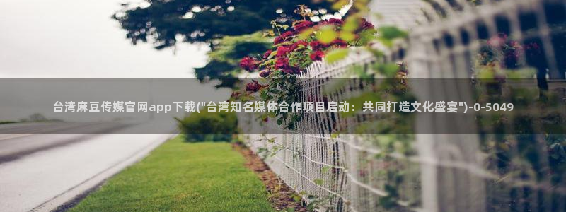 麻豆视频 内容页面：台湾麻豆传媒官网app下载(\
